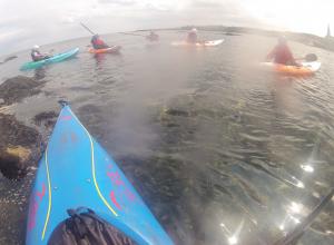 Zanders Kayaking