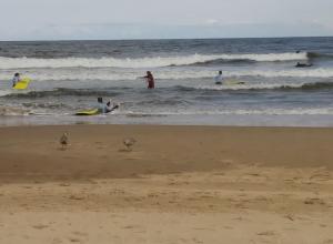 Surfs Up